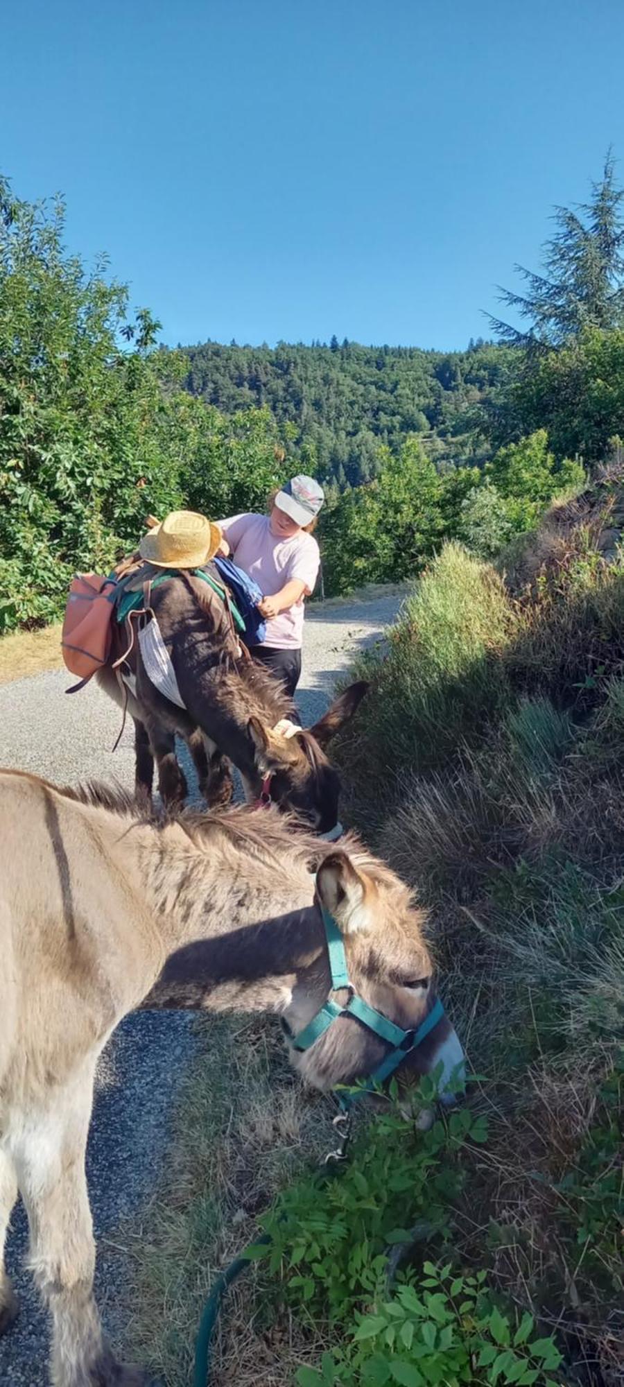 Les Soleillas Pour Votre Zen'Ittude Chalencon Buitenkant foto